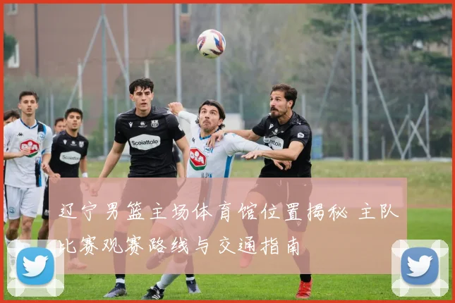 辽宁男篮主场体育馆位置揭秘 主队比赛观赛路线与交通指南