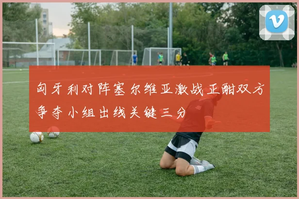 匈牙利对阵塞尔维亚激战正酣双方争夺小组出线关键三分