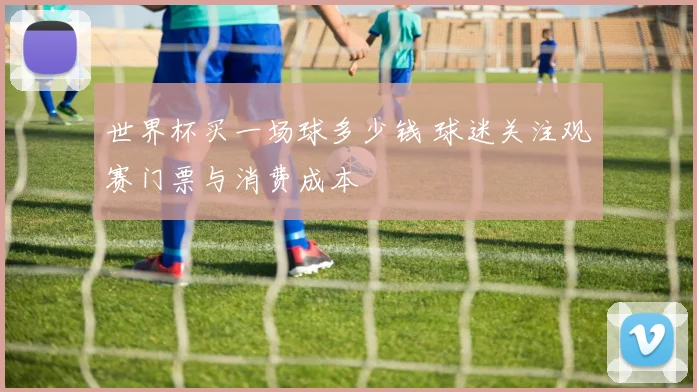 世界杯买一场球多少钱 球迷关注观赛门票与消费成本