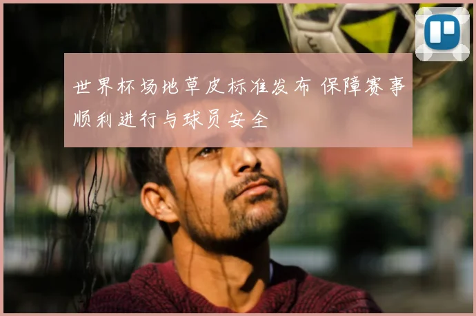 世界杯场地草皮标准发布 保障赛事顺利进行与球员安全