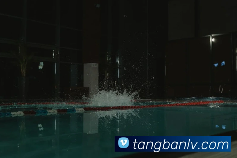 bandao体育官网APP 高清赛事图